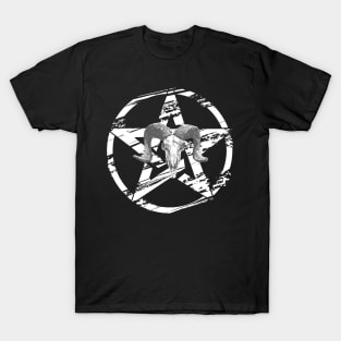 Baphomet Pentagram  Art T-Shirt